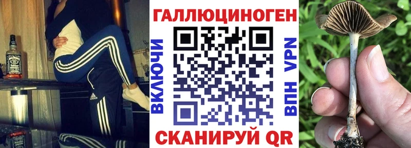 Псилоцибиновые грибы Psilocybine cubensis  Еманжелинск 